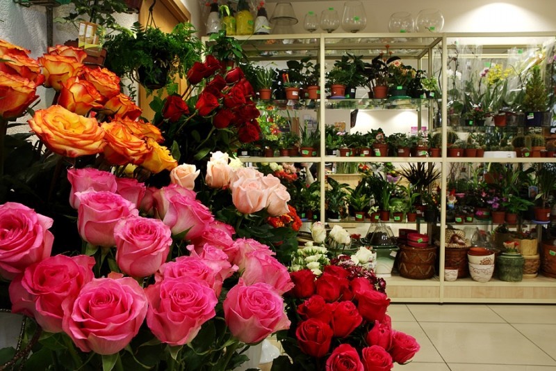 BloomGenius: il tuo primo negozio di fiori online per i momenti di fioritura